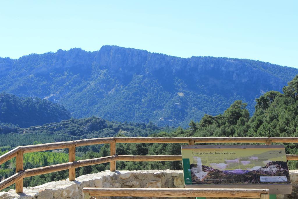 ארויו פריו Hotel Balneario Parque De Cazorla מראה חיצוני תמונה