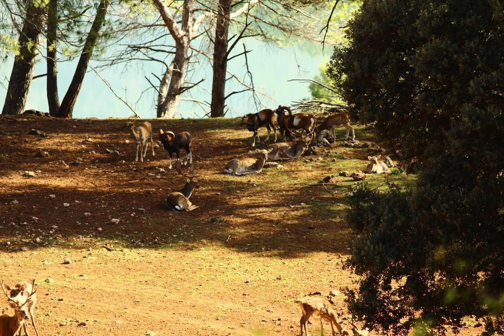 ארויו פריו Hotel Balneario Parque De Cazorla מראה חיצוני תמונה