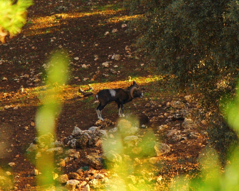 ארויו פריו Hotel Balneario Parque De Cazorla מראה חיצוני תמונה